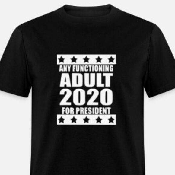 Any Functioning Adult for President - Picture 1 of 1